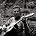 Pete Seeger
