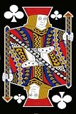 LA Rug Jack Black Rug 19x29