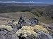Haastia Pulvinaris, Black Birch Range at South Island, New Zealand Photographic Poste...