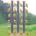 Finches Favorite 3 Tube Feeder Plastic