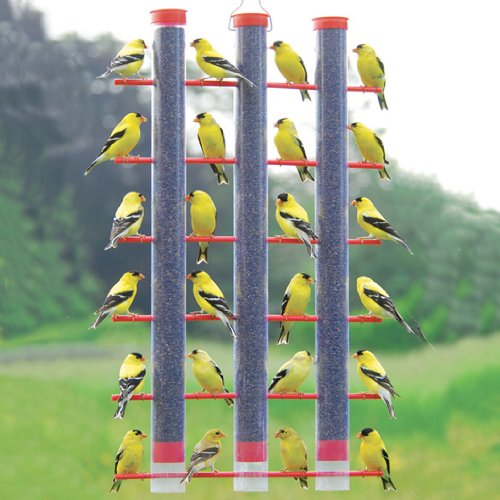 Finches Favorite 3 Tube Feeder Plastic