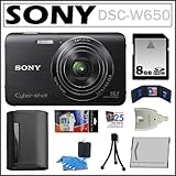 Sony Cyber-shot DSC-W650 16.1 MP Digital Camera with 5x Optical Zoom and 3.0-Inch LCD in Black + 8GB SDHC + Sony Case + Ca...