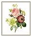Counted Cross Stitch Chart/Graph Pierre-Joseph Redoute's Flower Illustration of Bouquet of Anemone, Rose and Clematis