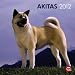 Akitas 2012 Square 12X12 Wall Calendar