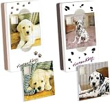 Revue   / Boitier de rangement DS - Version Nintendogs