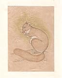 Indian Art Miniatures India Folk Paintings Drawings & Water Color on Paper 5.5 x 8 inches (minianimal027)