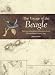 Search : Voyage of the <i>Beagle</i>: Darwin's Extraordinary Adventure Aboard Fitzroy's Famous Survey Ship