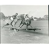 Polo Match