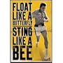(24x36) Muhammad Ali (Float Like a Butterfly, Sting Like a Bee, Yellow) Sports Poster Print