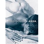 Aqua book cover
