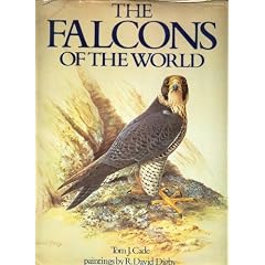 The Falcons of the World
