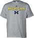 Michigan Wolverines Adidas Grey True T-Shirt