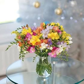 20 Guernsey Freesias