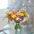 20 Guernsey Freesias
