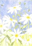 Daisies and Bees Flag