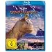 Dinosaurier [Blu-ray]
