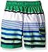 Kanu Surf Boys' Toddler Optic Stripe Swim Trunks