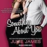 Something About You: FBI-US Attorney Series, Book 1