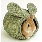 わらっこ倶楽部　うさぎハウスＳ
