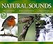 Search : Natural Sounds