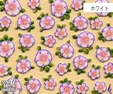 ネイルシール デコネイル N-136 ＩＴＡＹＡ山桜(W) 山桜