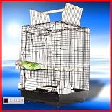BIRD CAGE BELLA VISTA COCKATIEL CONURE PARAKEET