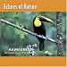 Echoes of Nature: Rainforest [CD on Demand]
