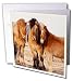 3D Rose Greeting Cards with Envelopes - Set of 12 Greeting Card (gc_208743_2)