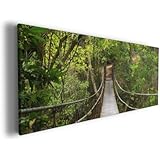 Leinwandbild Hängebrücke im Urwald - 50 x 125 in Premium-Qualität ...