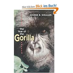 The Year of the Gorilla: An Exploration