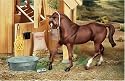 Stable Feed Set