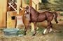 Stable Feed Set�