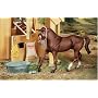 Stable Feed Set�