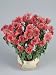 Close-Up of Godetia Flowers Growing in a Pot (Clarkia Amoena) Photographic Poster Print by G. Cigolini, 18x24
