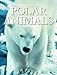 Snapshot Picture Library Polar Animals