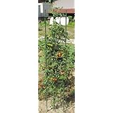 ���i�̏ڍ�