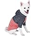 Blueberry Pet Winter Symphony Marled Color-Block Knitted Unisex Designer Hooded Dog Sweater, Back Length 20