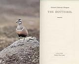 The dotterel