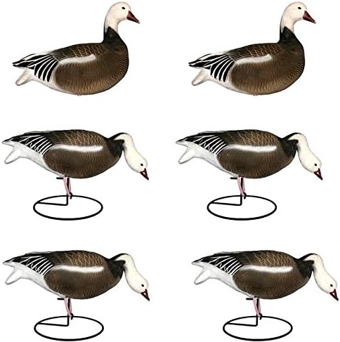Dakota Decoys X-Treme Full Body Snow Goose Decoys - 6 Pack (Blue)