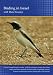 Birding in Israel (PC)