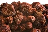 Two Pounds Of Dried Strawberries