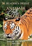 Animals Are Amazing: Life in the Wild: Part One