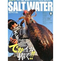 SALT WATER (�\���g�E�H�[�^�[) 2012�N 06���� [�G��]