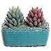 Rustic Vintage Style Turquoise Fleur De Lis Design Ceramic Plant Pot / Centerpiece Decor Planter - MyGift