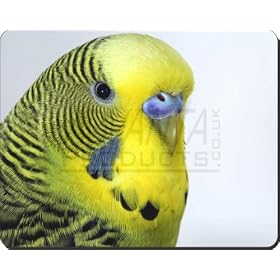 Yellow Budgerigar Computer Mouse Mat/Pad Gift, Ref:AB-51M