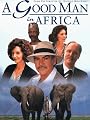A Good Man in Africa