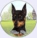 E&S Pets Min Pin Coaster, 3