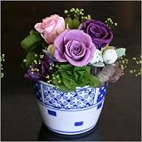 �������� �v���U�[�u�h�t�����[�u�ق̂��v�p�[�v����