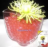 Crystal Soil USA(TM) Brand Premium Water Storing Accents Deco Gel Beads; ORANGE 10g Pac