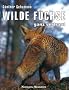 Wilde F�chse - ganz vertraut